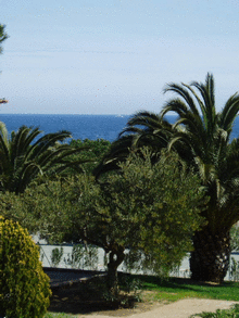 Passez vos vacances aux Issambres, dans un appartement entirement neuf, au coeur d'une rsidence avec piscine et parc priv. Situation  200m de la plage et  5mn  pied des commerces. Vue magnifique depuis le balcon sur la mer (photo  cot). Piscine, jeux d'enfants, terrain de volley, parking priv... La location est possible  la semaine ou quinzaine. 