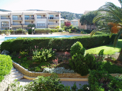 Le parc et la piscine